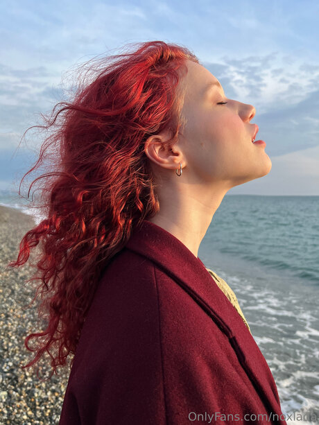 Noxlada art star images