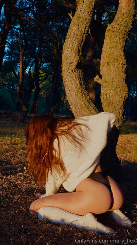 Mary Flex pornographic star galleries