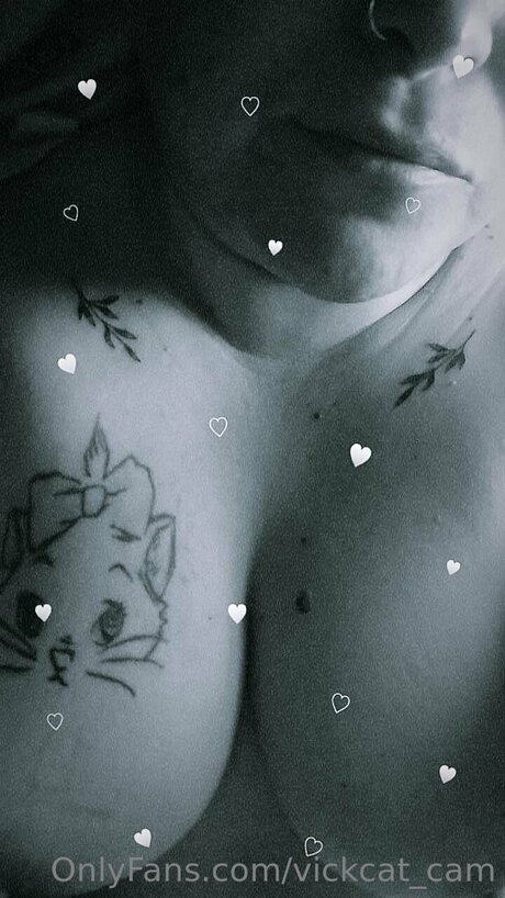 Vickcat Cam sexy star picture