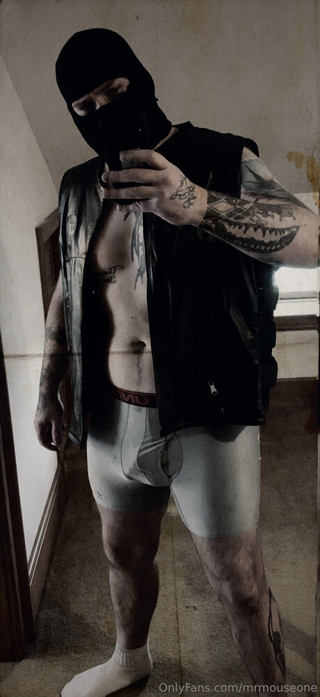 Mrmouseone model adult photos