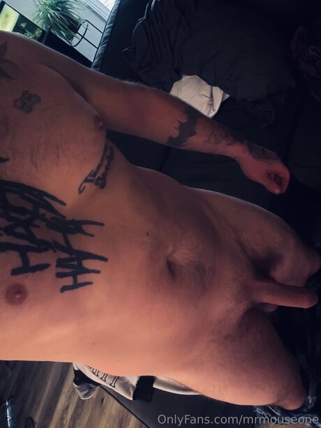 Mrmouseone exclusive model archive