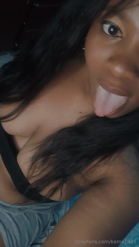 Kamii1445 star free photos