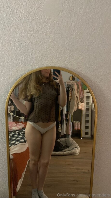 Lizlavenderx star art archive