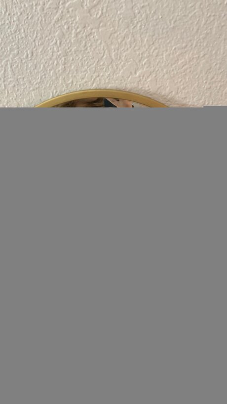 Lizlavenderx pornstar free photo