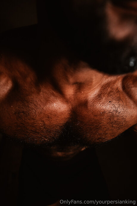 Yourpersianking star pornographic pics