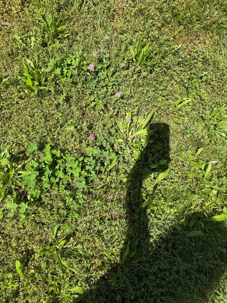 Amaraevermore free model gallery