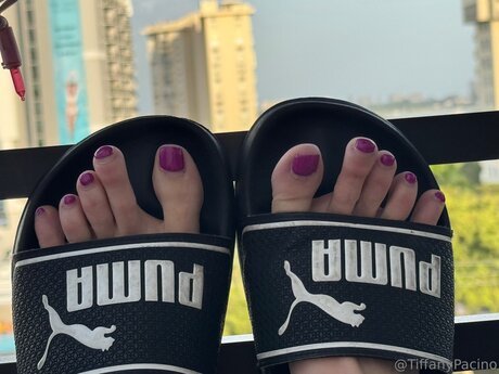 Discotacos pornstar galleries