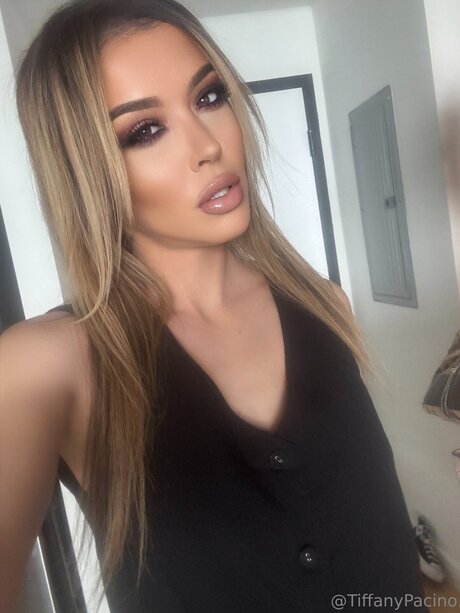 Discotacos pornstar pictures