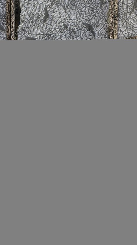 asian facial onlyfans adult image