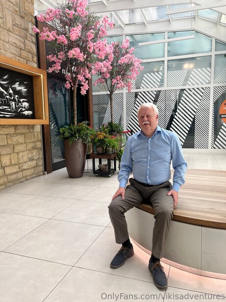 Vikisadventures star adult archive