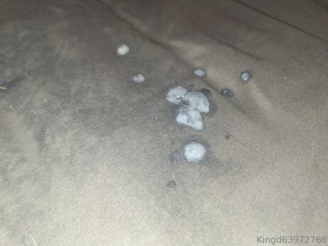 U370740840 star pornographic image