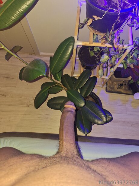 U370740840 porn star galleries