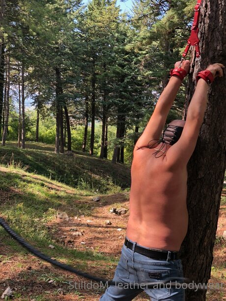 Stilldom model nice image