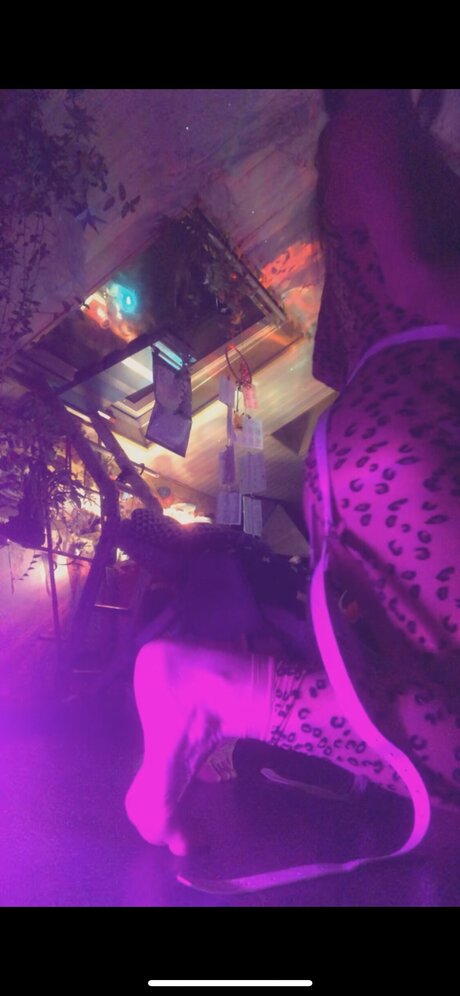 Thebrightside Profile pic