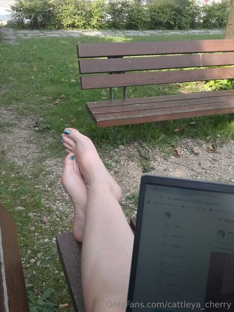 Cattleya Cherry star pornographic pic