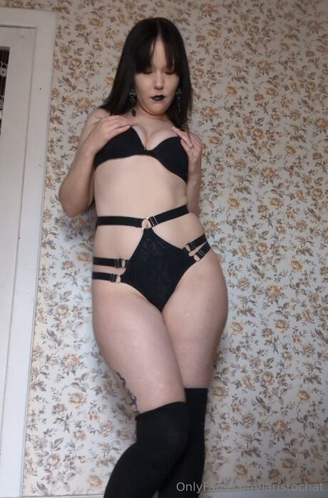 Laristochat xxx star image