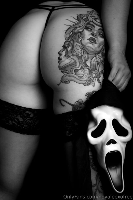 Novaleexofree porn star archive