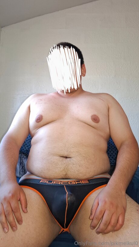 Pikmelkul0 high quality model img