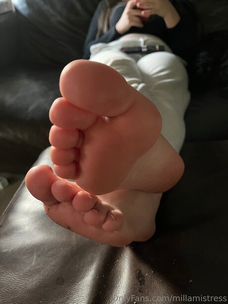 Millamistress high quality model img