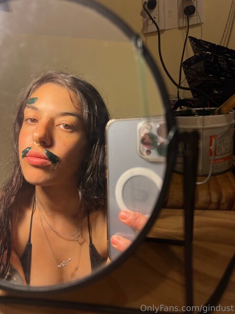 Gindust art star galleries