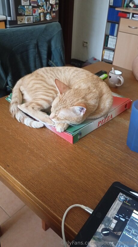 Andrea Ludmilla pornstar best galleries