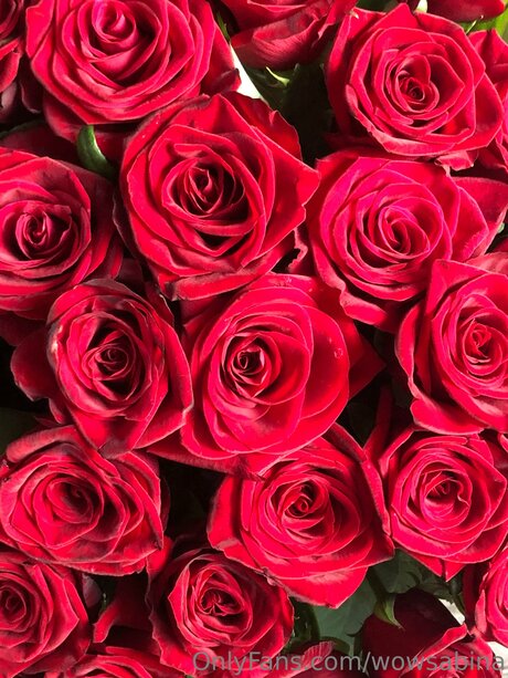 Wowsabina model exclusive photo