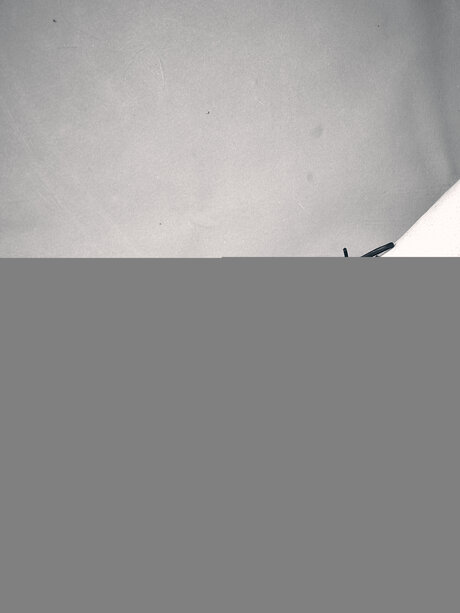 creampie onlyfans naked img