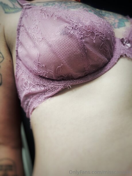 Misscanada pornstar nice galleries