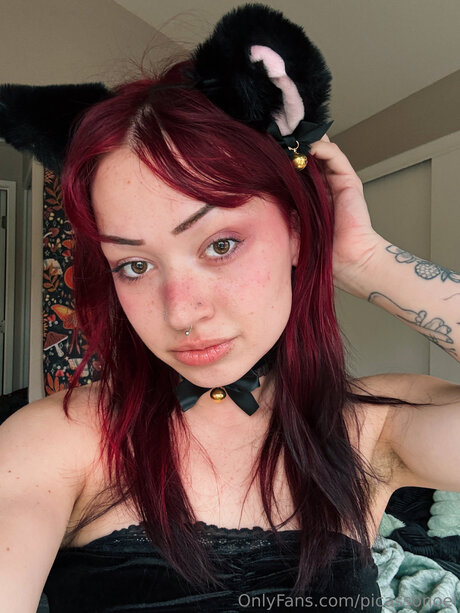 Picassonoel star pornographic image