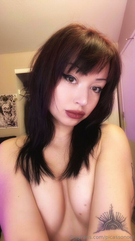 Picassonoel star nude pic