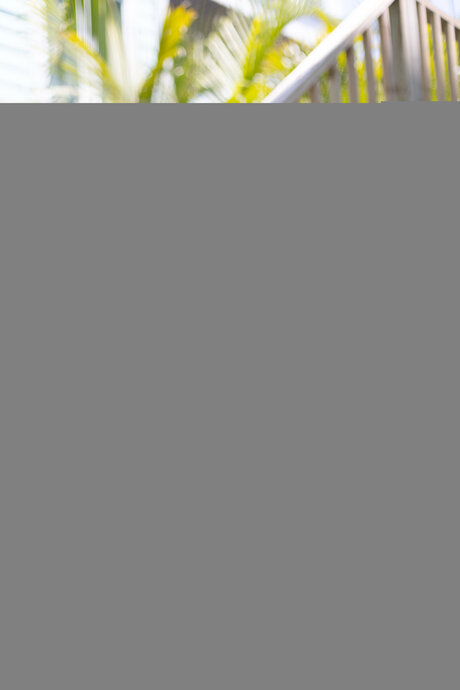 Scar Sole star xxx picture