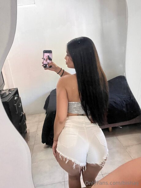 Bishay nice model gallery