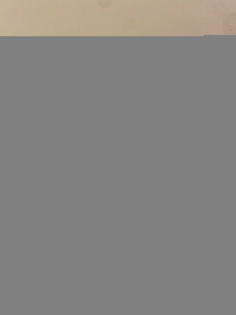 Resilvafree exclusive actress galleries