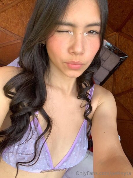 Petinyta star art photos