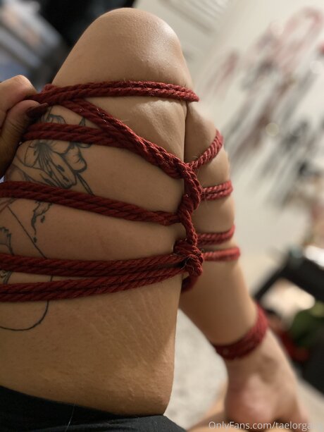 Taelorgang hd actress img