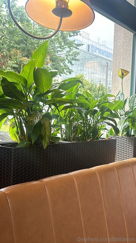 Lbriblimm sexy model picture