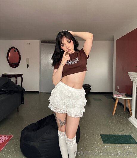 Soypaulita model best img