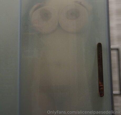 Alicenelpaesedelkink pornstar xxx picture