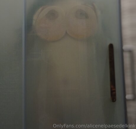 Alicenelpaesedelkink adult star picture