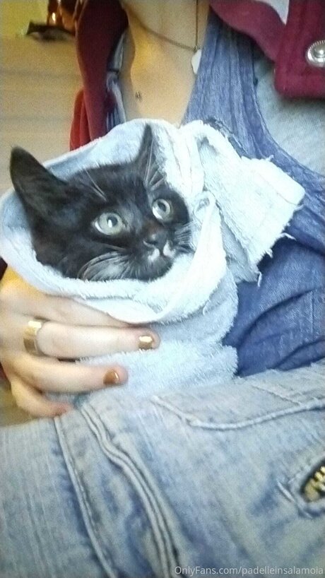 Padelleinsalamoia star beautiful photos