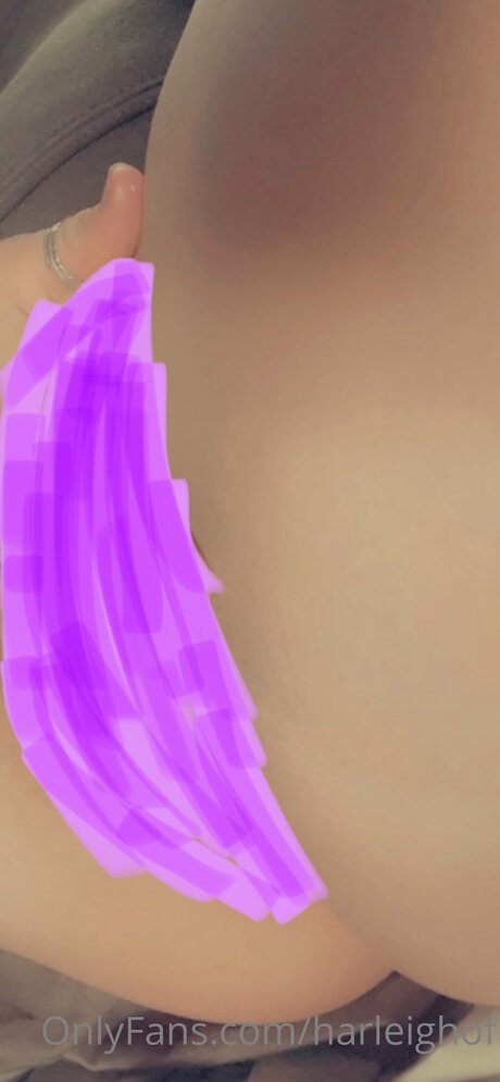 Harleighof model adult img