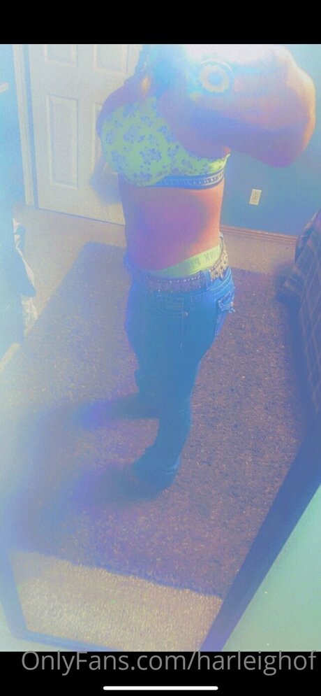 Harleighof perfect star galleries