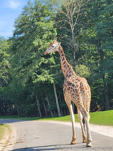 big dick anal onlyfans hot naked pic