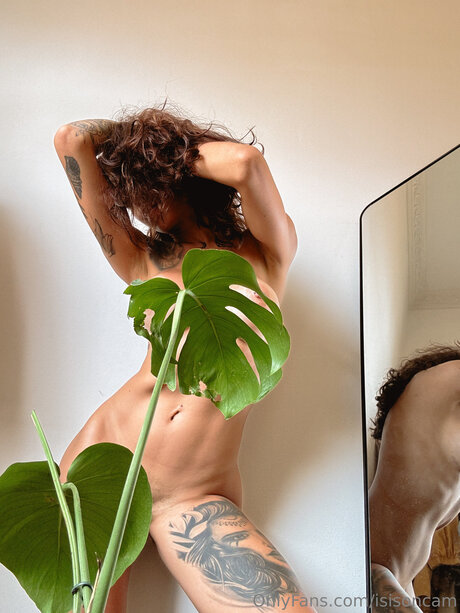 Isisoncam high quality star archive