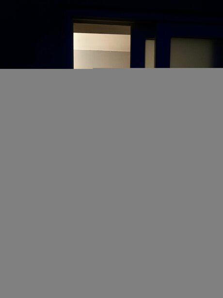 Fueguitofree pornographic actress img