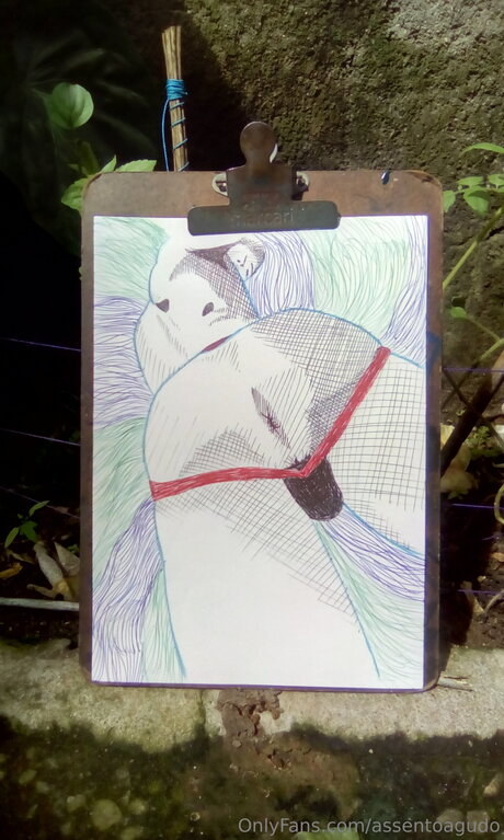 Assentoagudo hd star galleries