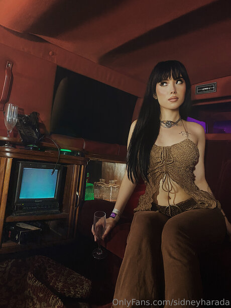Sidneyharada star top image