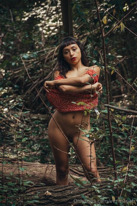 Venusinab star naked archive