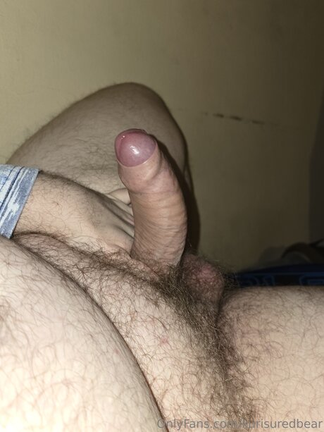 Kurisuredbear beautiful star galleries