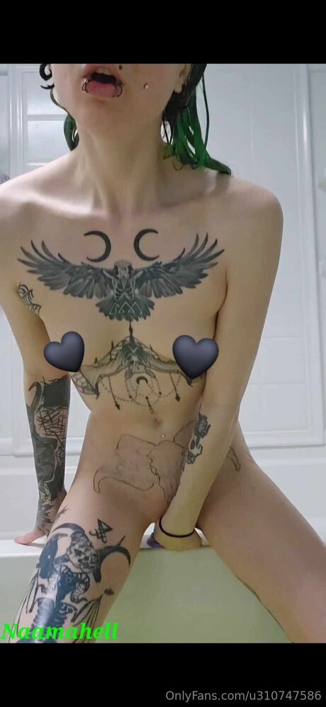 U310747586 nice star archive